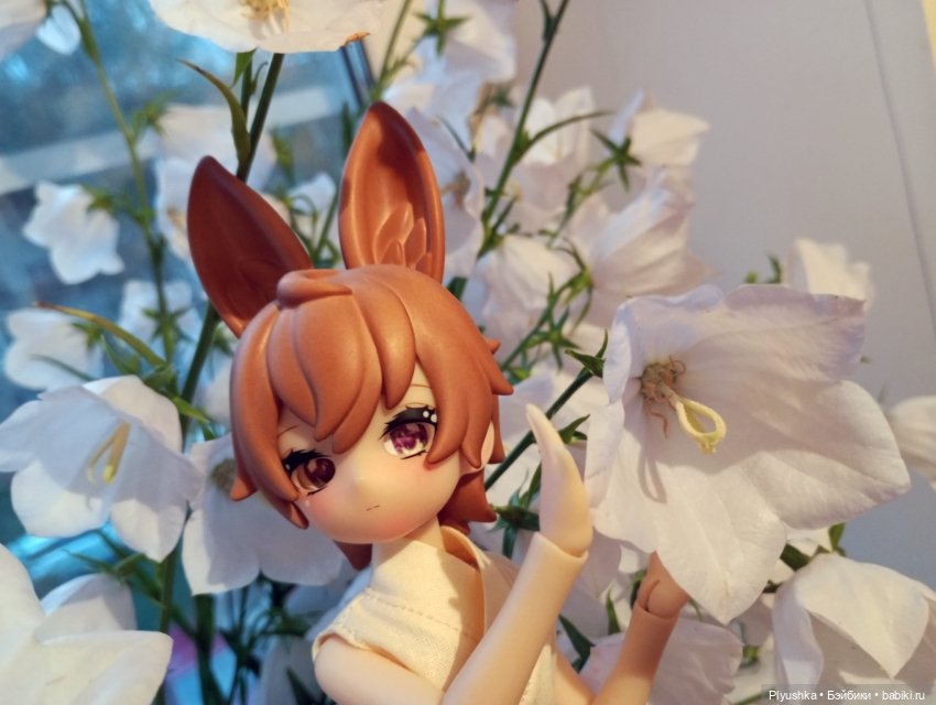 Цветы и куклы — Красивая природа и цветы: фото пейзажей (фото 2)