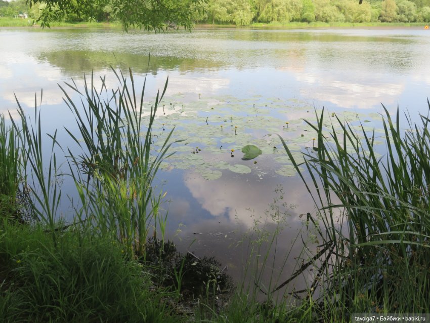 Catrinas Underworld у старинного пруда в Москве (фото 2)