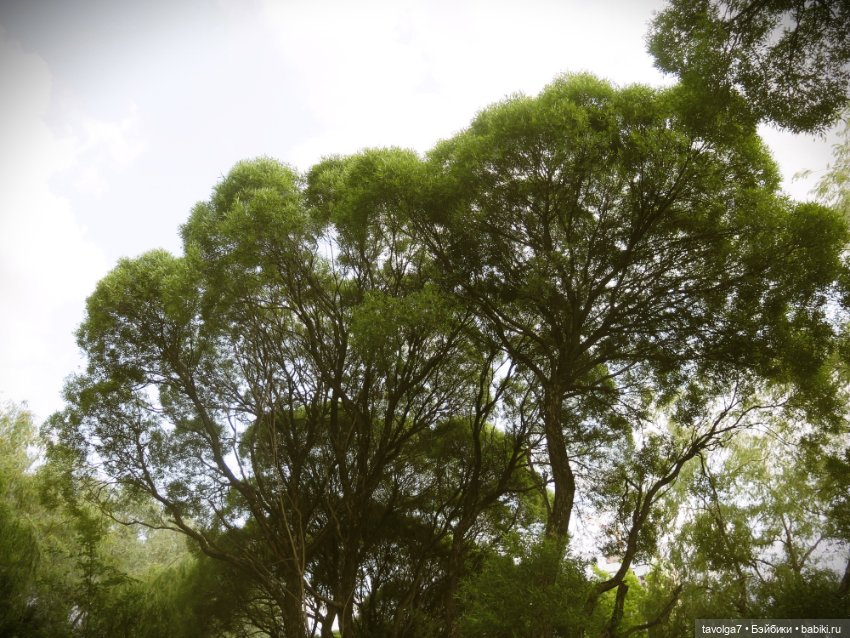 Catrinas Underworld у старинного пруда в Москве (фото 6)