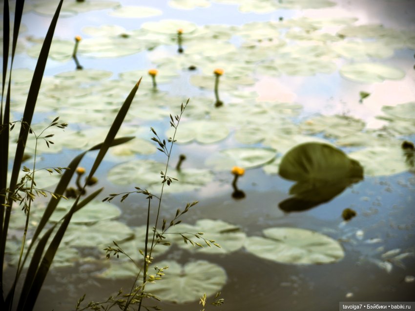 Catrinas Underworld у старинного пруда в Москве (фото 5)