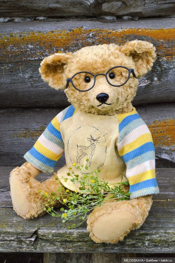 Старенький мишка Фотий — Авторские мишки Тедди и друзья: фото
