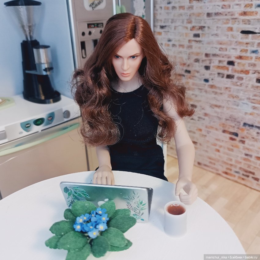 Элис@pro_phicen — Куклы Phicen (TBLeague/Фицен): бесшовные тела (фото 3)