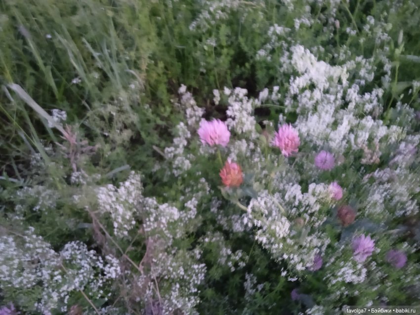 Лита 2025 — Азиатские виниловые куклы (разное): Китай