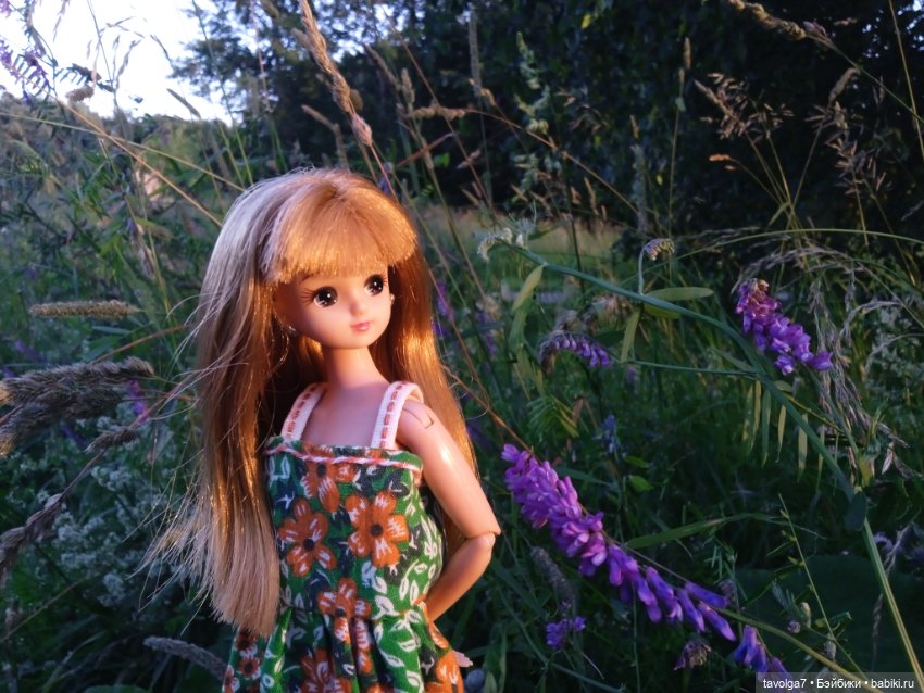 Лита 2025 — Азиатские виниловые куклы (разное): Китай (фото 2)