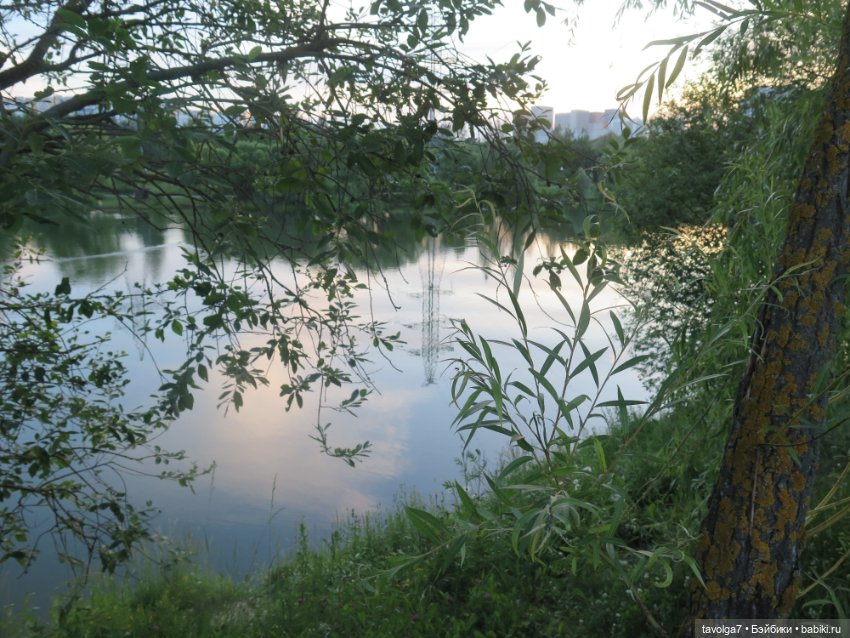 Лита 2025 — Азиатские виниловые куклы (разное): Китай