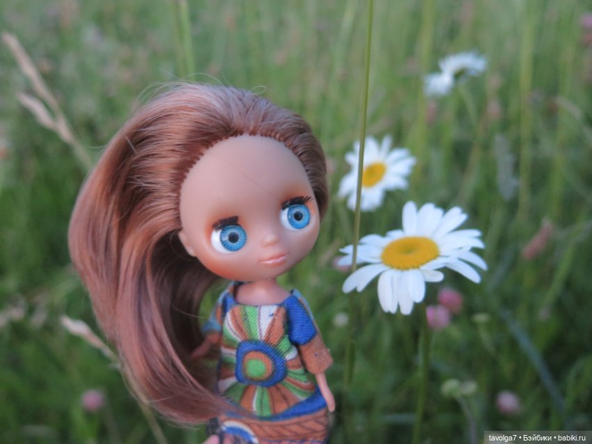 Лита 2025 — Азиатские виниловые куклы (разное): Китай