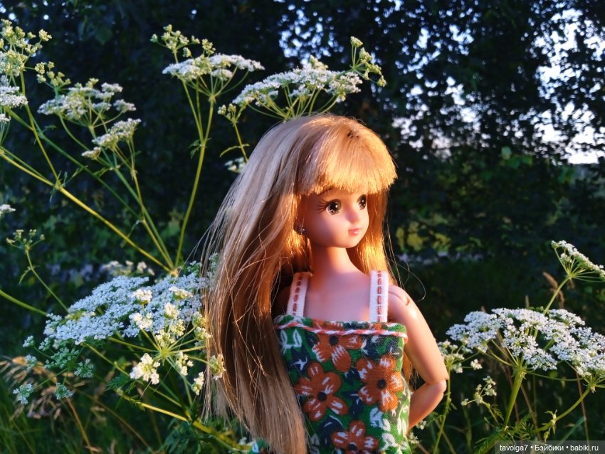 Лита 2025 — Азиатские виниловые куклы (разное): Китай