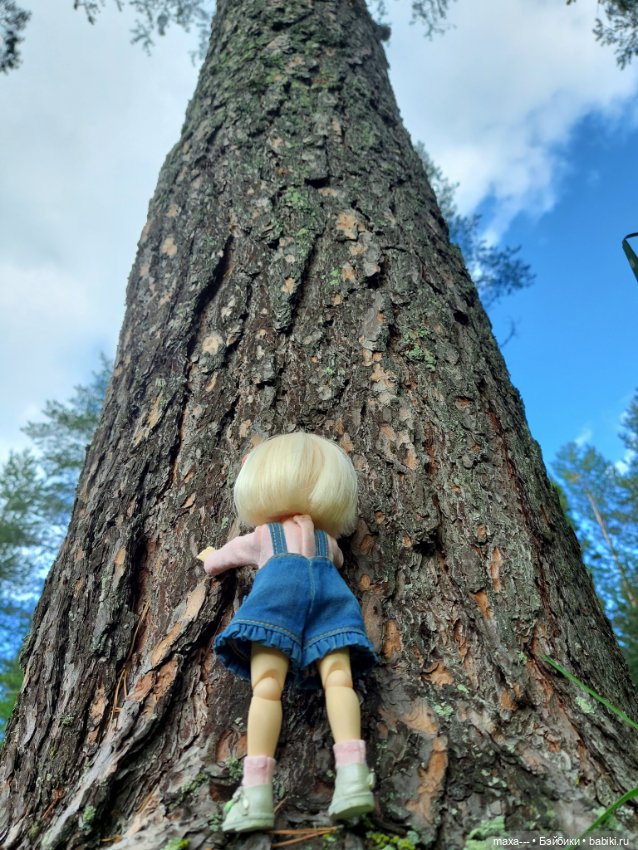 Там, на неведомых дорожках-2