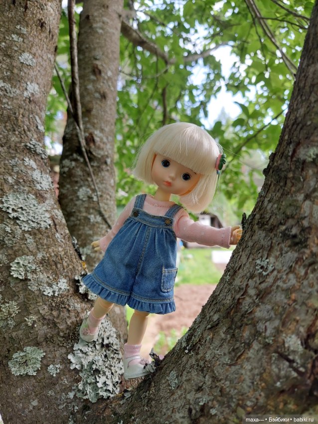 Там, на неведомых дорожках (фото 8)