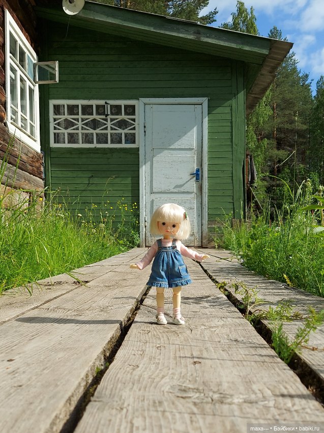 Там, на неведомых дорожках (фото 3)