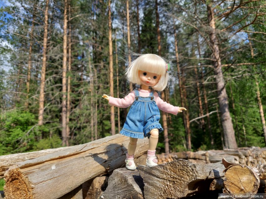 Там, на неведомых дорожках-2 (фото 6)