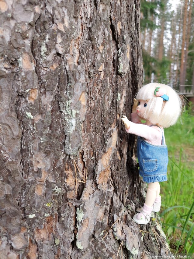 Там, на неведомых дорожках-2