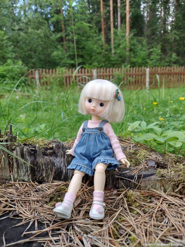 Там, на неведомых дорожках-2 (фото 10)