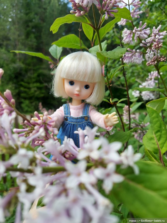 Там, на неведомых дорожках (фото 7)