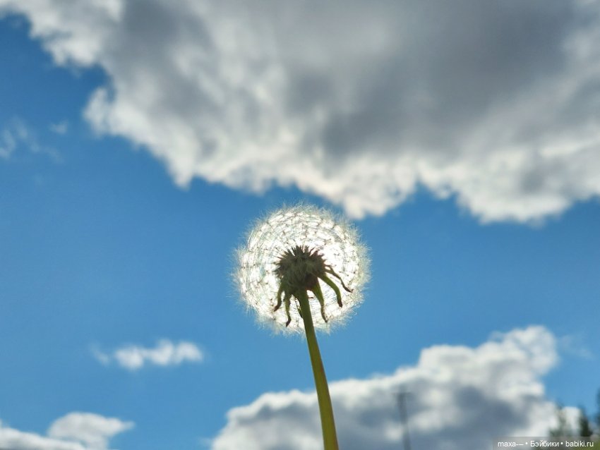 Там, на неведомых дорожках