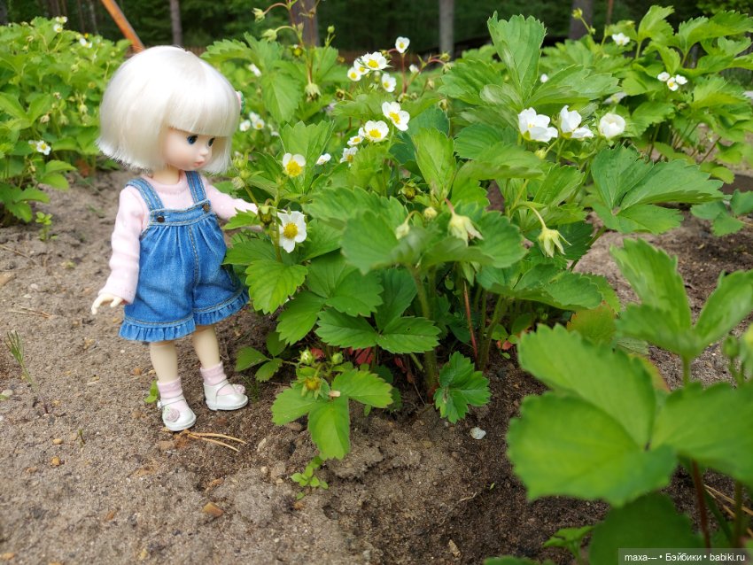 Там, на неведомых дорожках (фото 6)