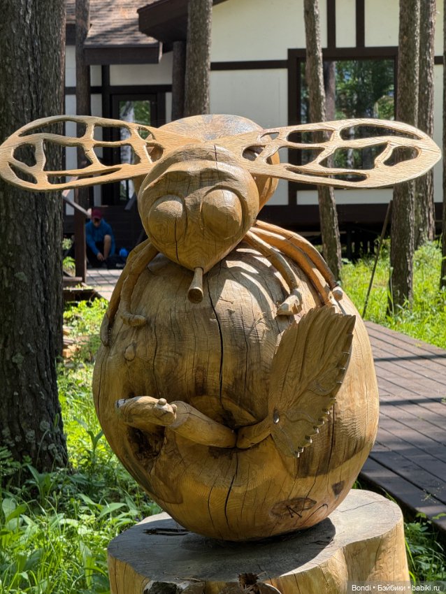 Зазеркалье. Любопытное место посетили вместе с Костиком (фото 5)