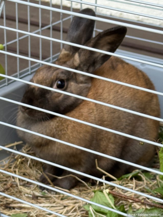 Зазеркалье. Любопытное место посетили вместе с Костиком