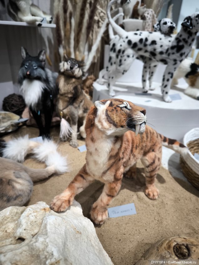 Доллскар, удивительный мир, ч. 4