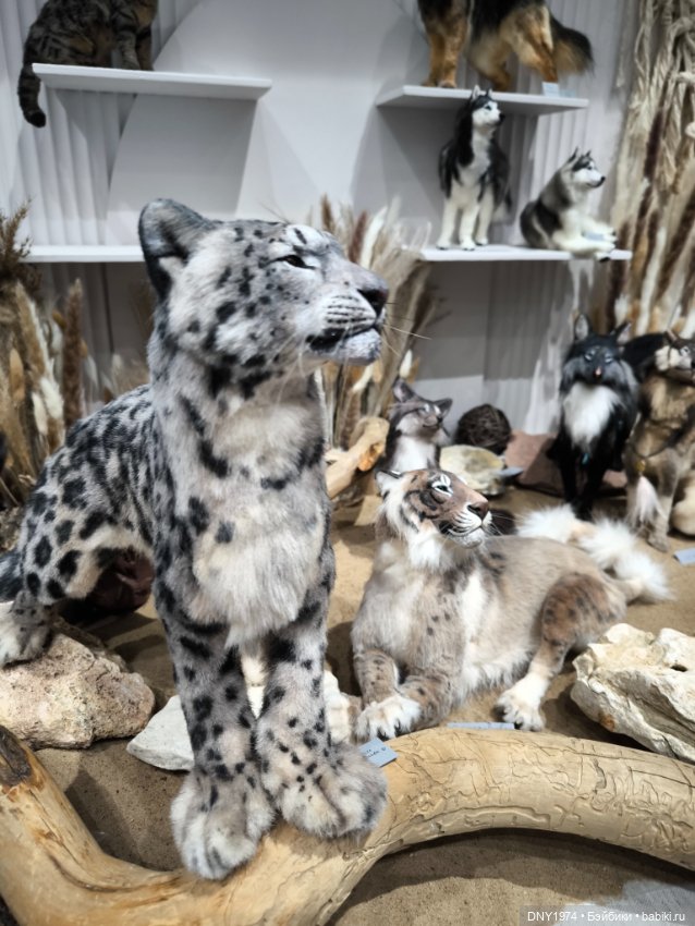 Доллскар, удивительный мир, ч. 4