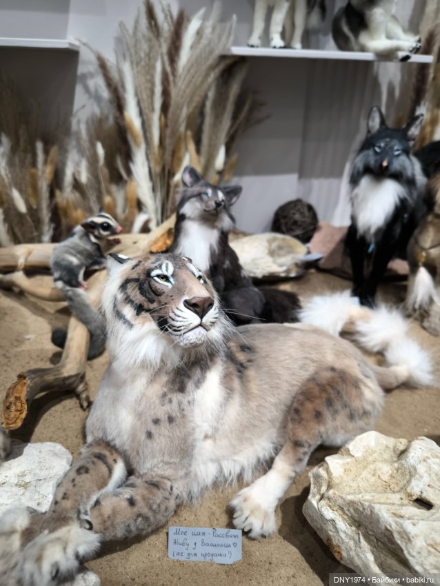 Доллскар, удивительный мир, ч. 4