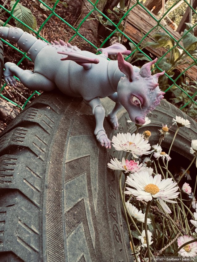 Лесная фотосессия Дракоши (с юмором) (фото 10)