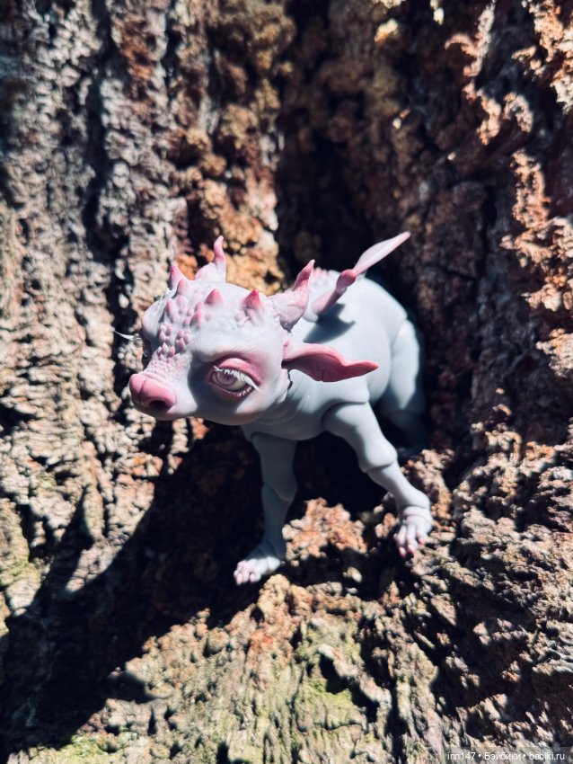 Лесная фотосессия Дракоши (с юмором)