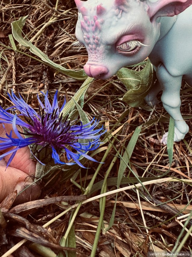 Лесная фотосессия Дракоши (с юмором) (фото 9)