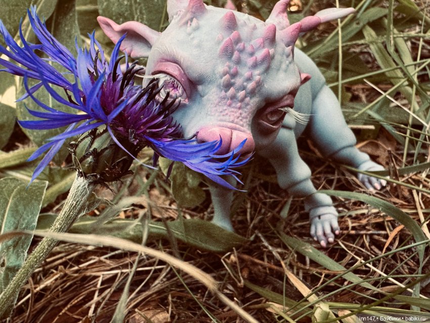 Лесная фотосессия Дракоши (с юмором) (фото 8)