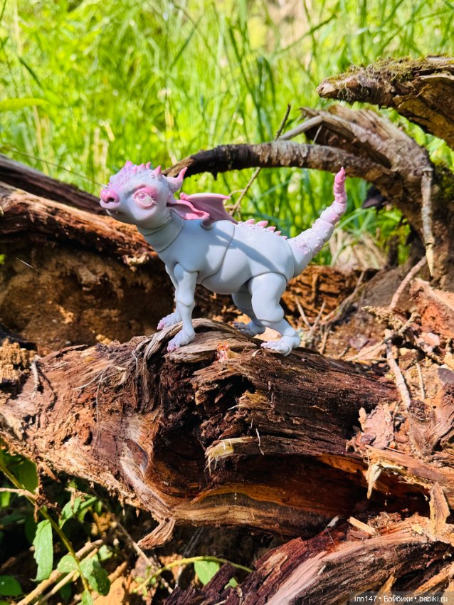 Лесная фотосессия Дракоши (с юмором)