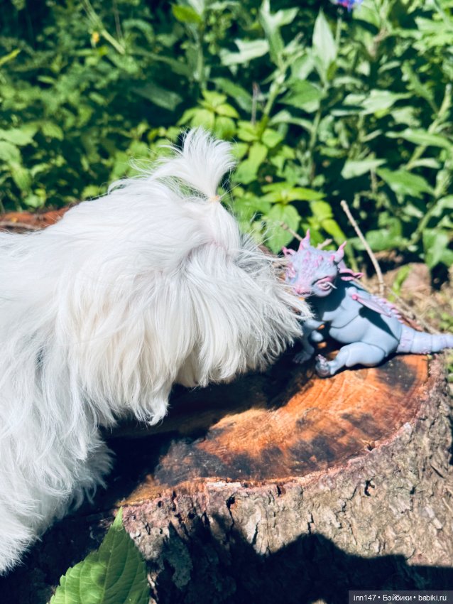 Лесная фотосессия Дракоши (с юмором) (фото 4)