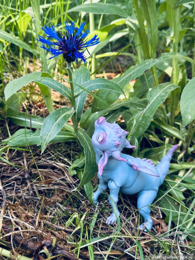 Лесная фотосессия Дракоши (с юмором) (фото 5)