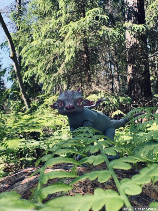 Лесная фотосессия Дракоши (с юмором)