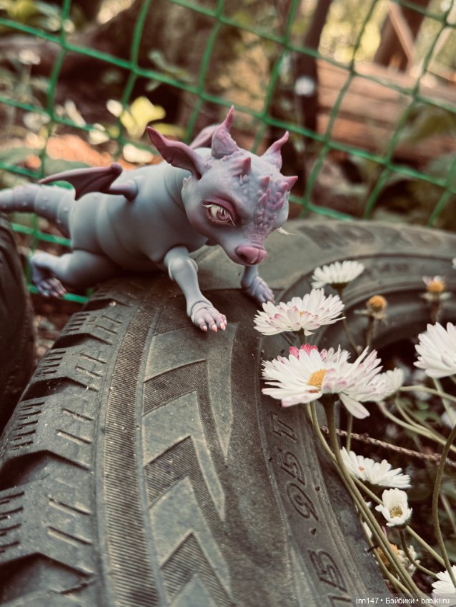 Лесная фотосессия Дракоши (с юмором)