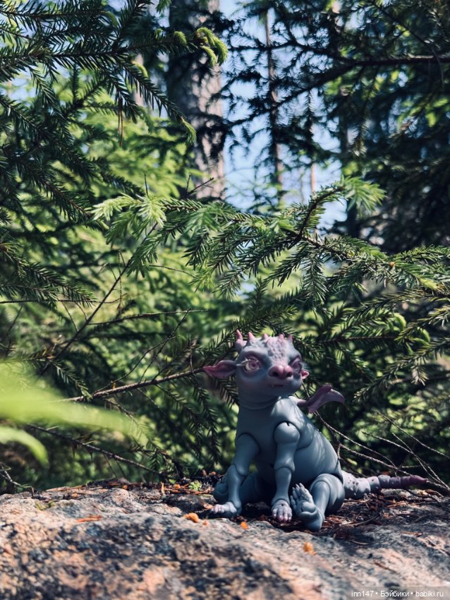 Лесная фотосессия Дракоши (с юмором)