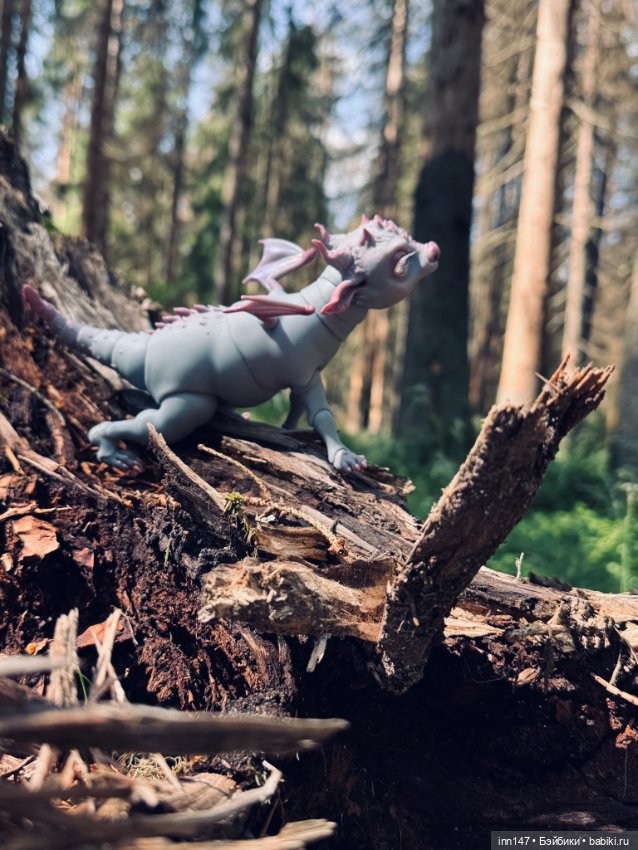 Лесная фотосессия Дракоши (с юмором)