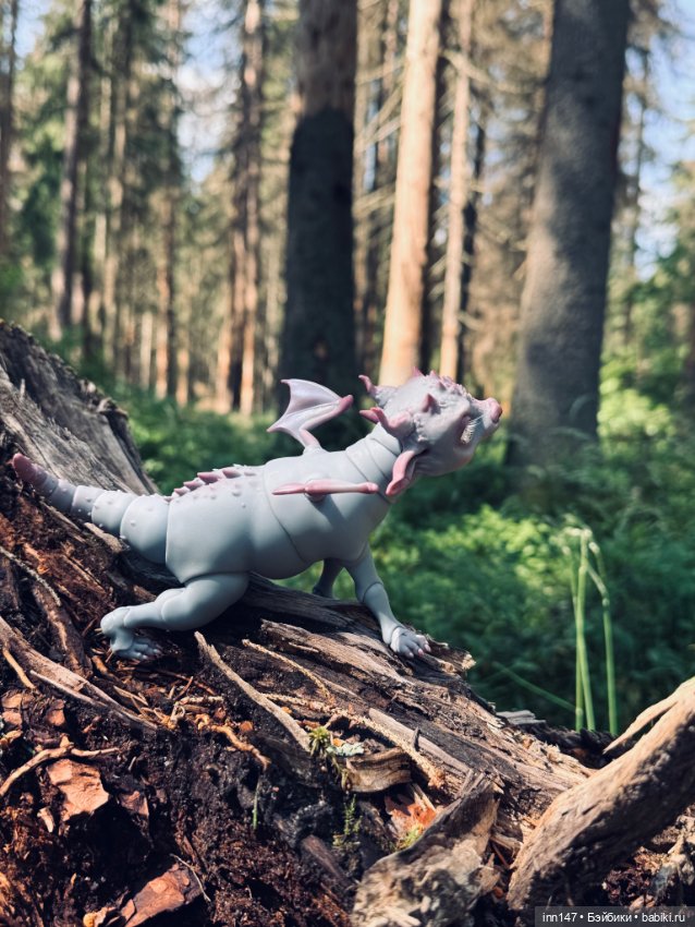 Лесная фотосессия Дракоши (с юмором)