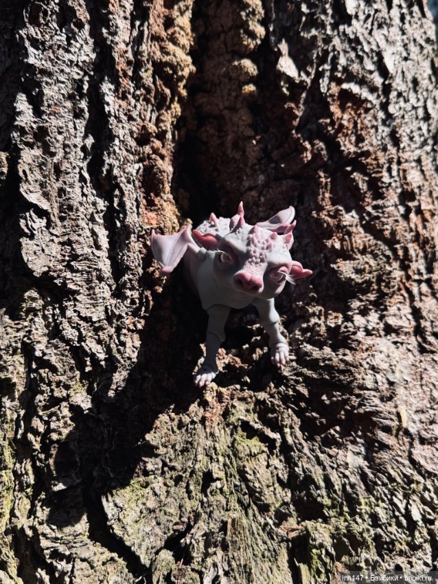 Лесная фотосессия Дракоши (с юмором)