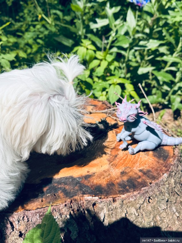 Лесная фотосессия Дракоши (с юмором) (фото 3)