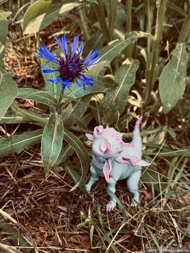 Лесная фотосессия Дракоши (с юмором) (фото 6)