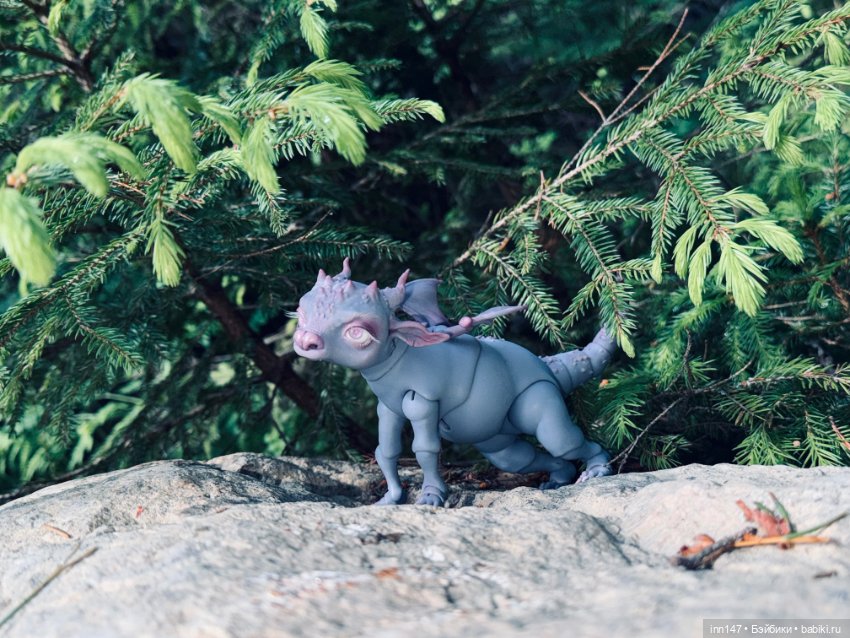 Лесная фотосессия Дракоши (с юмором)