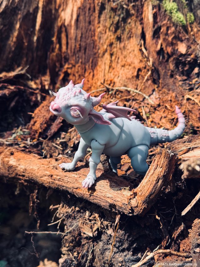 Лесная фотосессия Дракоши (с юмором)