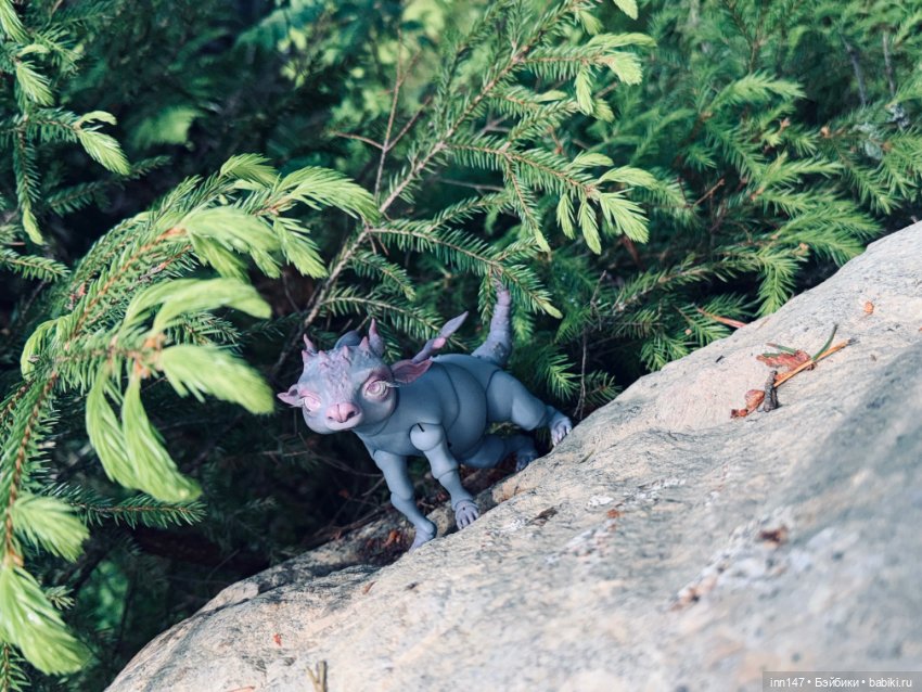 Лесная фотосессия Дракоши (с юмором)