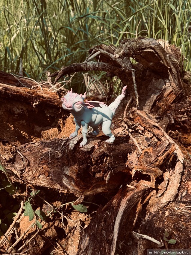 Лесная фотосессия Дракоши (с юмором)