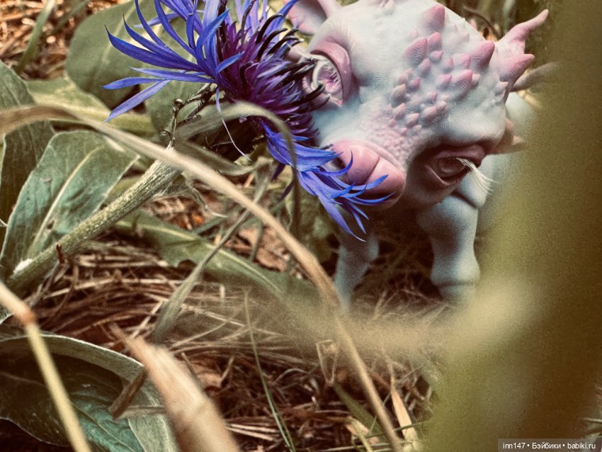 Лесная фотосессия Дракоши (с юмором) (фото 7)