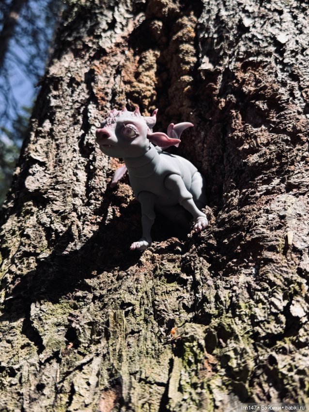 Лесная фотосессия Дракоши (с юмором)