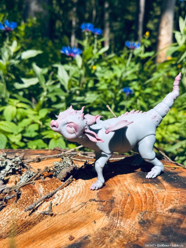 Лесная фотосессия Дракоши (с юмором)