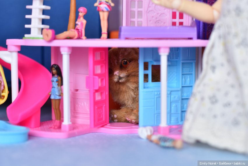 И пусть весь мир подождет (фото 8)