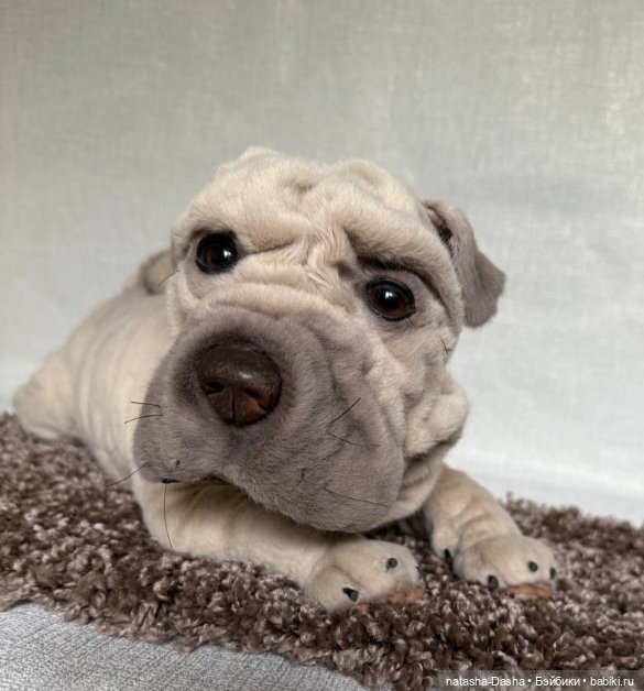 Шарпейка 🐾🐶🐕 — Игрушки в смешанной технике (мех и глина): Арт