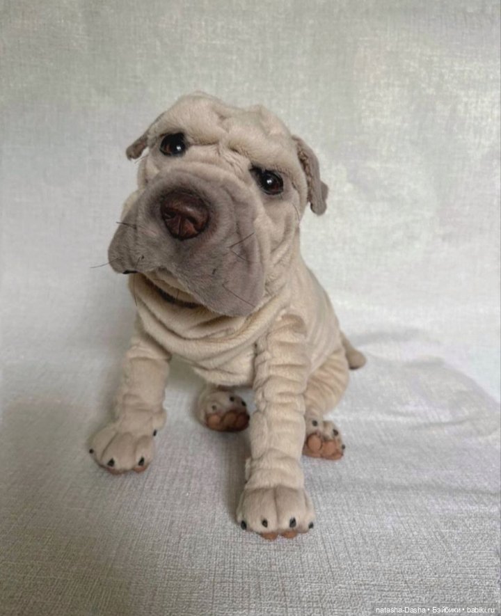 Шарпейка 🐾🐶🐕 — Игрушки в смешанной технике (мех и глина): Арт (фото 4)